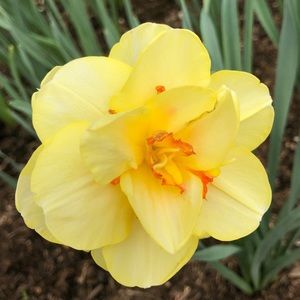 Meet your Posher, Coral lani